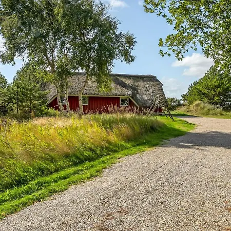 Dufa - 3-2km From The Sea In Western Jutland By Interhome Holiday home Kongsmark